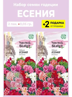 Купить семена годеции с доставкой курьером и почтой в интернет-магазине  Semena.ru