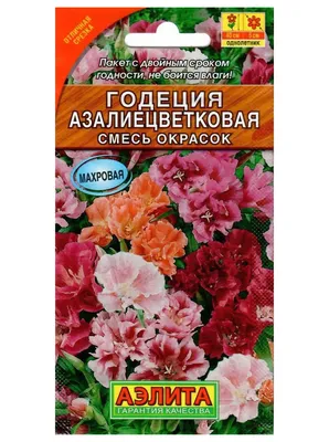 Семена годеция Аэлита Азалиецветковая 1 уп. - отзывы покупателей на  Мегамаркет