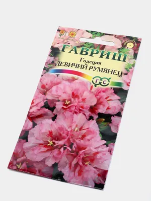 Цветы годеция азалия (смесь) (0,3г) Прочие Товары 203911/94 – купить  онлайн, каталог товаров с ценами интернет-магазина Лента | Москва,  Санкт-Петербург, Россия