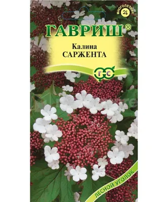 Семена Калина Саржента 0,5 гр. купить в Ташкенте, цена в интернет-магазине