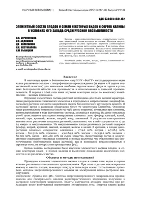 Решила испечь пирог с калиной, все бы ничего, но потом проветривала кухню  два часа | 100 рецептов.ру | Дзен