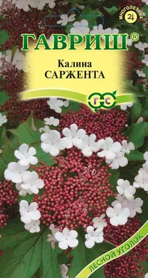 ✓ Семена Калина Саржента, 0,5г, Гавриш, Лесной уголок по цене 56 руб. ◈  Большой выбор ◈ Купить по всей России ✓ Интернет-магазин Гавриш ☎  8-495-902-77-18