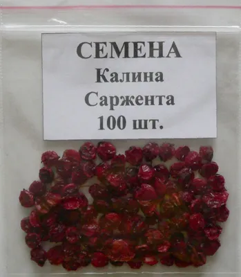 Калина Саржента (Viburnum sargentii Koehne). Купить калину Саржента:  саженцы, семена / Женьшень