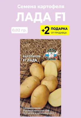 Семенной картофель Ривьера, Голландия купить - Компания ФОРСАГРО