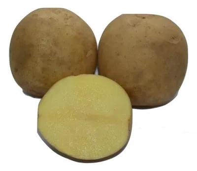 Семена картофеля Фермер, 0.02 г, Seedera | Семена картофеля