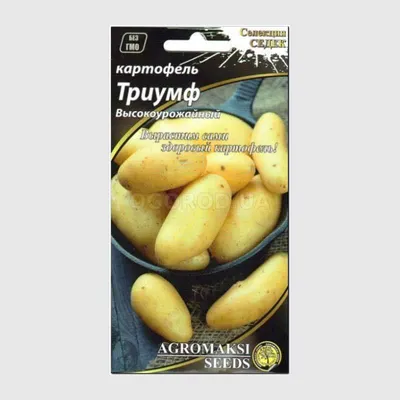 Семена картофеля купить в Апатитах за 400 руб- Растения на Хибины.ru