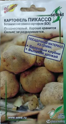 Семена картофеля Реванш, 0.02 г, Seedera | Семена картофеля