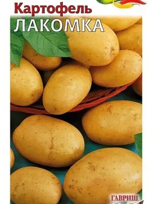 Семена картофеля \"Илона\" 0,01 г (ID#1138270399), цена: 5.80 ₴, купить на  Prom.ua