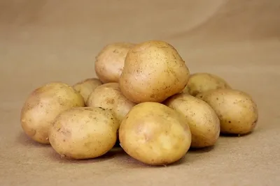 Купить Семенной картофель сорт Валентина в Кисловодске с доставкой по РФ
