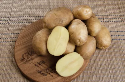Семена картофель СеДеК F1 Лада 16443 1 уп. - отзывы покупателей на  Мегамаркет