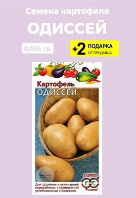 Голландские Семена Картофеля СЕНСЕЙШН 5 кг (ID#1684765146), цена: 250 ₴,  купить на Prom.ua