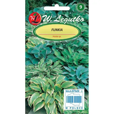 Семена Хоста - микс- Hosta sp. mixture (0.10g)-Legutko | Toraf - цветя |  SortoviSemena.BG