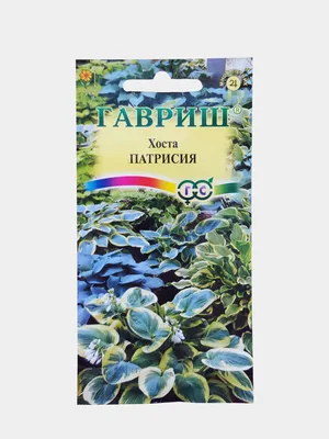 Семена Хоста \"Патрисия\", Гавриш купить по цене 279 ₽ в интернет-магазине  KazanExpress