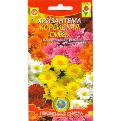Купить семена: Хризантема Корейская смесь - цены,фото,отзывы |  Green-Club.com.ua