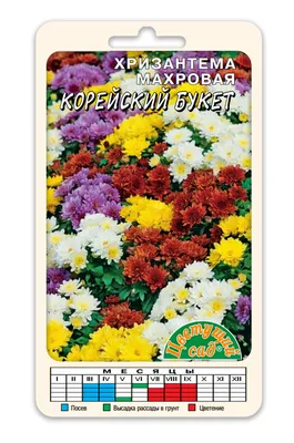 Хризантемы многолетние Цветущий сад ЦС Хризантема АССОРТИ - купить по  выгодным ценам в интернет-магазине OZON (437649300)