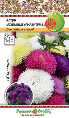 Семена астра Русский огород Большая хризантема смесь 185033 1 уп. - отзывы  покупателей на Мегамаркет