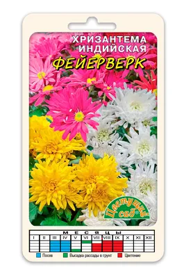 Хризантемы многолетние Цветущий сад МЦ Хризантема АССОРТИ - купить по  выгодным ценам в интернет-магазине OZON (788066787)