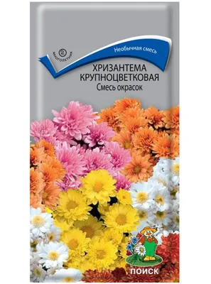 Семена хризантема Поиск смесь окрасок 188561 1 уп. - отзывы покупателей на  Мегамаркет