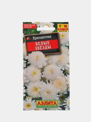 Семена цветов Хризантема девичья \"Белые Звезды\" купить по цене 67.55 ₽ в  интернет-магазине KazanExpress