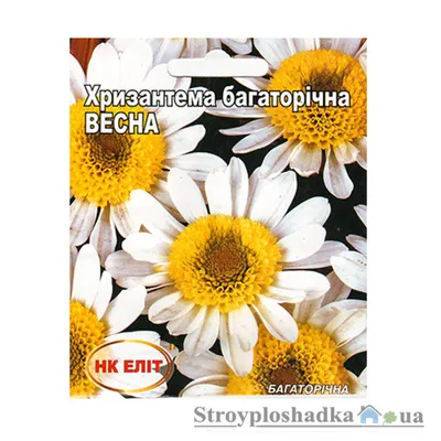 Семена цветов Хризантема букетная \"Торжество\", О, 0,1 г 3975977 Агрофирма  АЭЛИТА купить по цене от 22руб. | Трикотаж Плюс | Екатеринбург, Москва