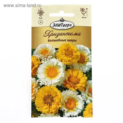 Семена хризантемы \"Цветы невесты\" купить по цене 59 ₽ в интернет-магазине  KazanExpress