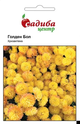 ᐉ Купить Семена хризантемы Весна НК Элит, 0.3 г в интернет-магазине |  Stroyploshadka.Ua