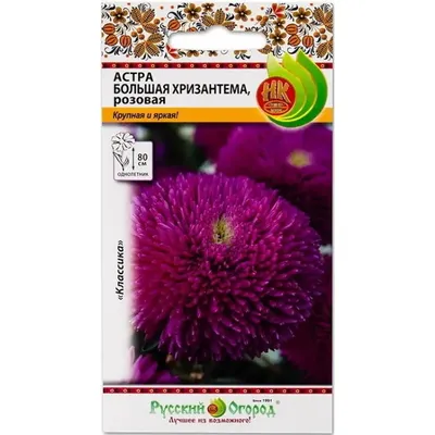 Купить Семена хризантемы Элитагро в интернет каталоге с доставкой | Boxberry