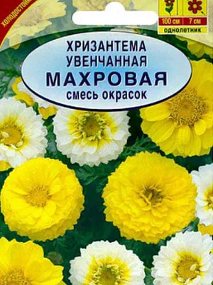 Хризантемы на осень 2022 г. | Семена редких сортов томатов