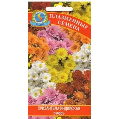 Семена хризантемы, ПОИСК, Корейская смесь 0,05 гр — купить в Тюмени по цене  37 руб за шт на СтройПортал
