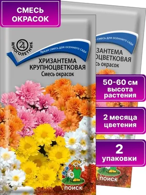Купить семена: Хризантема индийская смесь - цены,фото,отзывы |  Green-Club.com.ua