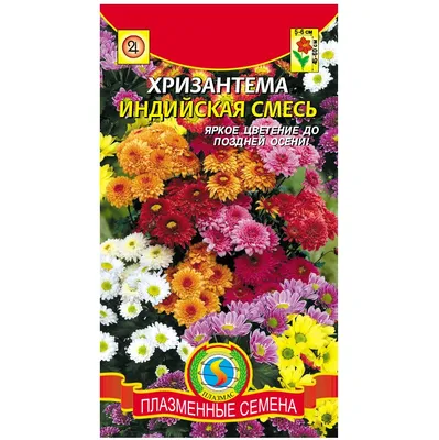 Хризантема Индийская смесь \"Плазменные семена\" 🏆 – купить семена в Перми