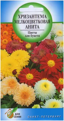 Семена хризантемы Белоснежка, Аэлита - «Нежные, неприхотливые цветы.» |  отзывы