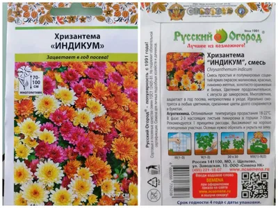 Семена хризантемы китайской астры - Callistephus chinensis - 450 семян -  семена – Garden Seeds Market | Бесплатная доставка