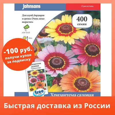 Хризантема Радуга семена съедобных цветов купить в магазине «Ильинские  травы»