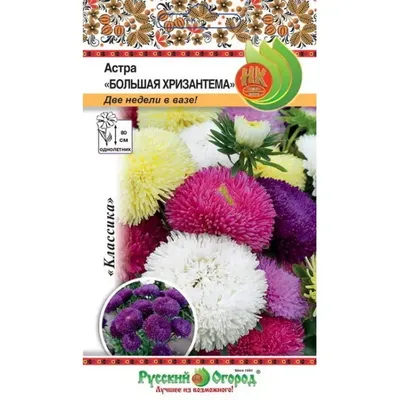 Семена Цветов Хризантема Максимум , 0,1 г (9379205) - Купить по цене от  13.60 руб. | Интернет магазин SIMA-LAND.RU