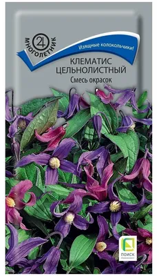 Семена клематиса Цельнолистный смесь окрасок — купить в интернет-магазине  по низкой цене на Яндекс Маркете