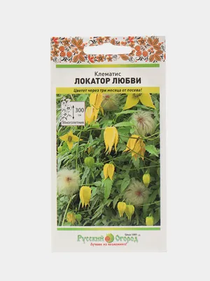 Клематисы Редкие семена Клематис \"ТАНГУТСКИЙ\" - купить по выгодным ценам в  интернет-магазине OZON (719949807)
