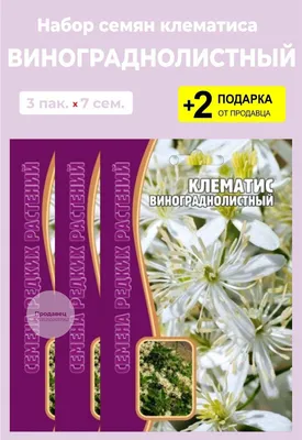 Семена цветов Клематис \"Винограднолистный\", 3 упаковки + 2 Подарка от  продавца — купить в интернет-магазине по низкой цене на Яндекс Маркете