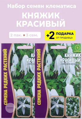 Семена цветов Княжик (Клематис) \"Красивый\", лиана, 2 упаковки + 2 Подарка  от продавца — купить в интернет-магазине по низкой цене на Яндекс Маркете