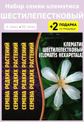 Редкие семена Семена Клематис \"Тангутский\"