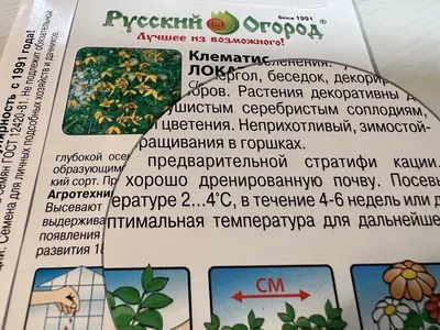 Купить семена: Клематис Гелиос - цены,фото,отзывы | Green-Club.com.ua