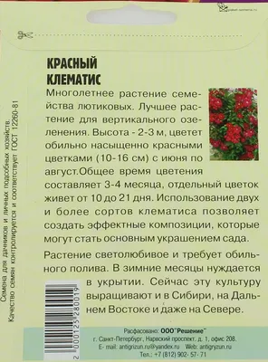 Клематис Звездный дождь (семена,цветы) купить по цене 49 ₽ в  интернет-магазине KazanExpress