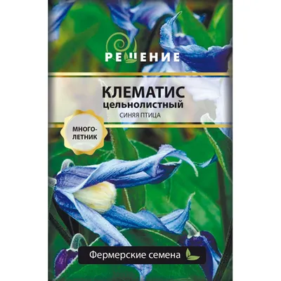 Купить семена Клематис шестилепестковый Hexapelata в Минске и почтой по  Беларуси