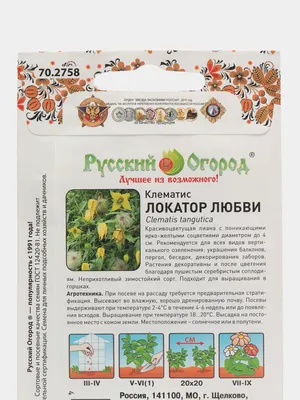 Купить семена: Клематис Тангутика Радар любви - цены,фото,отзывы |  Green-Club.com.ua
