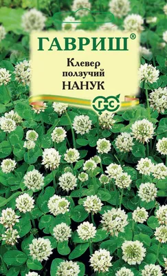 Семена белого клевера \"Ривендел\" 250г (ID#1969359494), цена: 199 ₴, купить  на Prom.ua