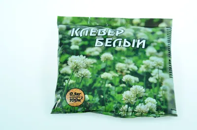 Семена клевера белого ползучего White Rabbit, 1 кг купить в Москве