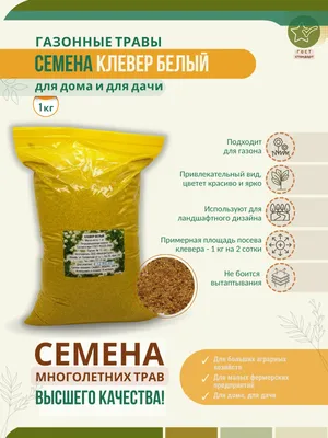 Семена клевера белого, ползучего. Купить клевер ползучий - Agrodostatok