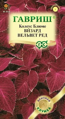 ✓ Семена Колеус Визард Вельвет Ред, 4шт, Гавриш, Элитная клумба по цене 34  руб. ◈ Большой выбор ◈ Купить по всей России ✓ Интернет-магазин Гавриш ☎  8-495-902-77-18