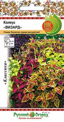 Семена колеус Русский огород Визард, смесь 113548 1 уп. - отзывы  покупателей на Мегамаркет