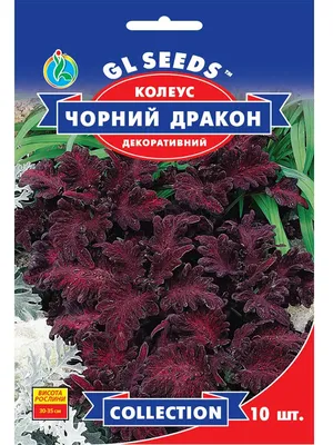 Семена Колеуса Черный Дракон 10 сем купить в Украине с доставкой | Цена в  Svitroslyn.ua